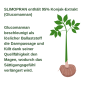 Preview: Slimopran Kapseln Kapseln Coverbild 2